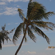 Picture 050
